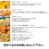 柑橘  【みかんの館】 有田 ブランド産地 田村地区産 柑橘詰め合わせ ３種以上 5㎏ 和歌山県 かんきつ みかん 《2/中旬～2/下旬より出荷》