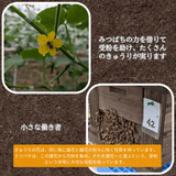 キュウリ 【エムズアグリ】業務用 訳あり きゅうり 約10㎏ 福島県須賀川市