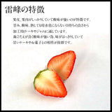 いちご 夏いちご  業務用 雷峰 すずあかね バラ小 6720g (280g×4P)×6箱 訳あり B品  小さめ 福島 飯館 ケーキ お菓子作り イチゴ 苺 夏