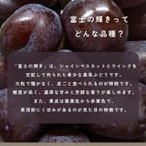ぶどう 【境果樹園】 富士の輝き シャインマスカット 1~2房ずつ 約1kg 長野県須坂市 《10/上旬～10/中旬より出荷》