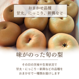 梨 【箭内厳雄果樹園】 家庭用 1種 5kg 8～11個 福島県須賀川市《11/上旬～11/中旬より出荷》