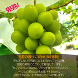 ぶどう 【カンジュクファーム】 葡萄 シャインマスカット 2房 1kg 贈答用 山梨県 《8/下旬～9/上旬より出荷》