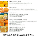 柑橘  【みかんの館】 有田 ブランド産地 田村地区産 柑橘詰め合わせ ３種以上 10㎏ 和歌山県 かんきつ みかん 《2/中旬～2/下旬より出荷》