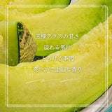 メロン 【メロン農家の根崎】 イバラキング 2玉 3.2kg 贈答用 2024年 イバラキング品評会1位 茨城県鉾田市 《6/上旬～6/中旬より出荷》