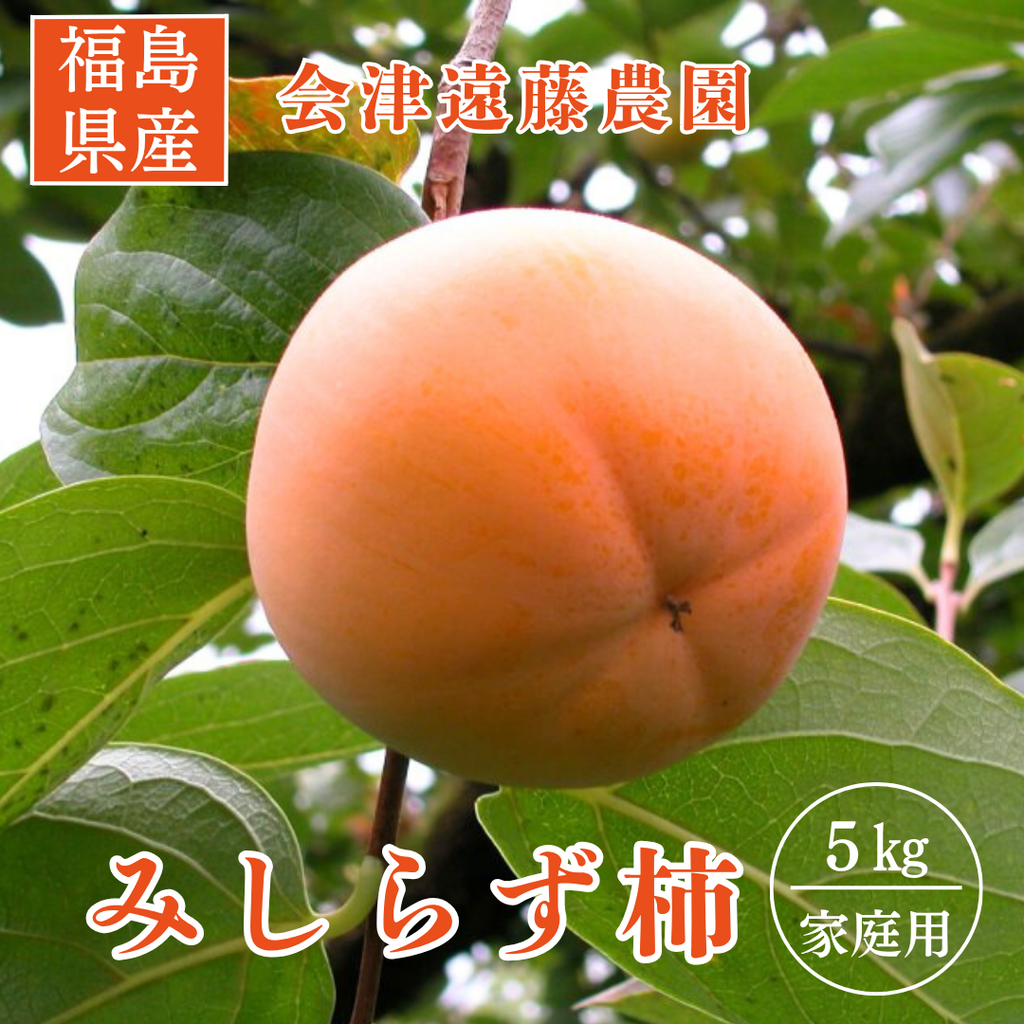 柿 【会津遠藤農園】みしらず柿 御山柿 5kg サイズお任せ 優 家庭用 福島県会津  《11/下旬～12/中旬出荷》