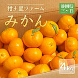 みかん 【柑土里ファーム】 三ヶ日みかん 4㎏ S~L混載(SM多め)  糖度12度前後 静岡県 三ヶ日 《11/下旬～12/上旬より出荷開始》