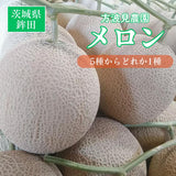 メロン 【方波見農園】 むつみレッド イバラキング クインシー タカミ タカミレッド どれか1種 5kg 3～6玉 糖度16度以上 贈答用 母の日 父の日 茨城県鉾田市 《5/上旬～5/中旬より出荷》