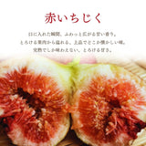 いちじく 【ファームさとう】 いちじくアイス 5個 千葉県香取市