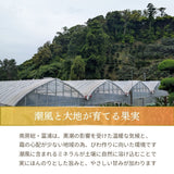 びわ 【生稲農園】 房州びわ 約1kg 12個 3L 化粧箱 枇杷 皇室献上の実績 父の日 千葉県南房総市《5/下旬～6/上旬より出荷》