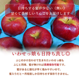 りんご 【ふんどのりんごや】 オリジナル品種 いわせっ娘 蜜無し 長期保存用 5kg 16～18個 福島県須賀川 《1/上旬～1/中旬より出荷》