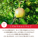 りんご 【箭内厳雄果樹園】 リンゴ 贈答用 10kg 30～32個 福島県須賀川市《11/下旬～12/上旬より出荷》