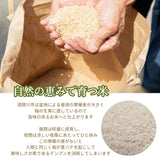 米 【おおひがし稲作研究会】 天のつぶ 玄米 30kg 白米精米可能 福島県須賀川市 令和7年産