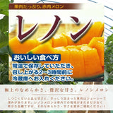 メロン 【OTM出荷組合】 レノン 3L 4玉 糖度15度以上 贈答用 茨城県鉾田市 《5/中旬～5/下旬より出荷》