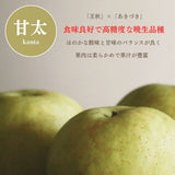 梨 【 フルーツランド外塚農園 】 甘太 3kg  5～6個 贈答用 茨城県かすみがうら市《9/下旬～10/上旬の出荷》