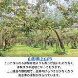洋梨 【スミヤ果樹園】 洋なし ラ・フランス 約2kg 特秀 ２L～４L 5～7玉 贈答用 山形県上山市 ラフランス 《11/上旬～11/中旬より出荷》