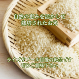 米 【ライズサプール】 ひとめぼれ 玄米 30kg 福島県只見町 会津 令和7年産 《2025年10/下旬より出荷》