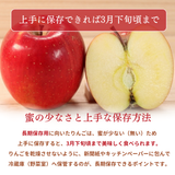 りんご 【ふんどのりんごや】 オリジナル品種 いわせっ娘 蜜無し 長期保存用 5kg 16～18個 福島県須賀川 《1/上旬～1/中旬より出荷》