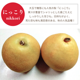 梨 【箭内厳雄果樹園】 甘太 新興 にっこり 1～3種入り 4kg 6～8個 福島県須賀川市《10/下旬～11/上旬より出荷》