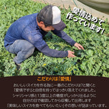 スイカ 小玉スイカ 【KSK出荷組合】 紅トップ べにくろ L どちらか1個 1.6～1.8kg 贈答用 茨城県筑西市 すいか 小玉 母の日 《5/6～5/中旬より出荷》