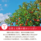 りんご 【箭内厳雄果樹園】 リンゴ 家庭用 10kg 福島県須賀川市《11/下旬～12/上旬より出荷》