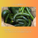 キュウリ 【エムズアグリ】業務用 訳あり きゅうり 約10㎏ 福島県須賀川市
