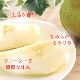 洋梨 【木村フルーツ】 洋なし ラ・フランス 約2kg ２L～5L 5～8玉 山形県上山市 ラフランス 《11/中旬～11/下旬より出荷》