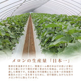 メロン 【OTM出荷組合】 メロン オトメメロン 特選 1玉 3L 糖度センサー 16度以上 贈答用 母の日 茨城県鉾田市 茨城町 《4/下旬～5/上旬より出荷》