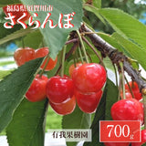 さくらんぼ 【有我果樹園】 佐藤錦 紅秀峰 紅てまり どれか1品種 700g L～2L 福島県須賀川市 《6/中旬～6/下旬の出荷》
