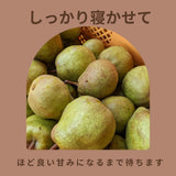 洋梨 【どらごん農園】 洋なし ラ・フランス 2kg 6～9玉 山形県 東根市 ラフランス 《11/中旬～11/下旬より出荷》