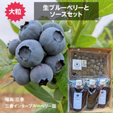 ブルーベリー 【三春インターブルーベリー園】 生ブルーベリー 400g 大粒 ソース 200g×3 朝採 国産 福島県三春町 お中元 御中元 贈答用 《6/下旬～7/上旬より出荷》