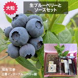 ブルーベリー 【三春インターブルーベリー園】 生ブルーベリー 200g 大粒 ソース 200g×2 朝採 国産 福島県三春町 お中元 御中元 贈答用 《6/下旬～7/上旬より出荷》