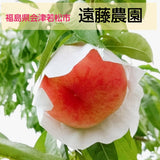 桃 【遠藤農園】 もも  5kg 20～22個 7月の桃 昂紀 夏雄美 福島県 会津 《7/中旬～出荷》