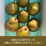 洋梨 【どらごん農園】 洋なし ラ・フランス 2kg 6～9玉 山形県 東根市 ラフランス 《11/中旬～11/下旬より出荷》
