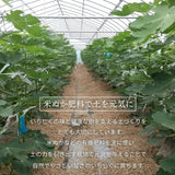 いちじく 【ファームさとう】 いちじくアイス 5個 千葉県香取市