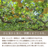 梨 【箭内厳雄果樹園】 甘太 新興 にっこり 1～3種入り 4kg 6～8個 福島県須賀川市《10/下旬～11/上旬より出荷》