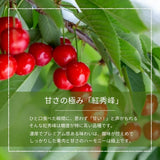 さくらんぼ 【フルーツ彩】 品種おまかせ 500g ML 山形県上山市  《6/上旬～6/中旬の出荷》