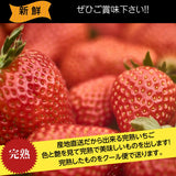 いちご 【斎藤農園】ゆうやけベリー (15～20粒 300g)×2P 福島県伊達市 《2/上旬～2/中旬より出荷》