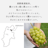 ぶどう 【境果樹園】 富士の輝き シャインマスカット 1~2房ずつ 約1kg 長野県須坂市 《10/上旬～10/中旬より出荷》