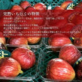 いちじく 【せた農園】 家庭用 350g×4P 1.4㎏ 和歌山県産 《8/中旬～8/下旬より出荷開始》 北海道・沖縄県は配送未対応