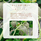 メロン 【OTM出荷組合】 メロン オトメメロン 5玉 2L 糖度15度以上 贈答用 母の日 茨城県鉾田市 茨城町 《4/下旬～5/上旬より出荷》
