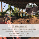 梨 【 フルーツランド外塚農園 】 甘太 3kg  5～6個 贈答用 茨城県かすみがうら市《9/下旬～10/上旬の出荷》