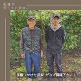 洋梨 【どらごん農園】 洋なし ラ・フランス 2kg 6～9玉 山形県 東根市 ラフランス 《11/中旬～11/下旬より出荷》