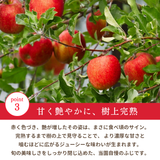 りんご 【箭内厳雄果樹園】 リンゴ 家庭用 5kg 福島県須賀川市《11/下旬～12/上旬より出荷》