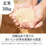 米 【ライズサプール】 ひとめぼれ 玄米 30kg 福島県只見町 会津 令和7年産 《2025年10/下旬より出荷》