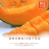 メロン 【OTM出荷組合】 レノン 2L 5玉 糖度15度以上 贈答用 茨城県鉾田市 《5/中旬～5/下旬より出荷》