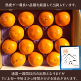 柿 甘柿 【石岡 鈴木農園】 八郷の柿 富有柿等 品種お任せ 3.5kg 2L～3L 10～14個 茨城県石岡市 《10/下旬～11/上旬より出荷》