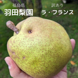 洋梨 【羽田梨園】 ラ・フランス 3kg　訳あり ご家庭用 福島県 萱場 洋ナシ《11/上旬～11/中旬出荷》