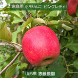 りんご 【志藤農園】 小玉りんご ピンクレディ 家庭用 5kg 23～28個 山形県 リンゴ 林檎