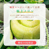 メロン 【OTM出荷組合】 メロン オトメメロン 特選 1玉 3L 糖度センサー 16度以上 贈答用 母の日 茨城県鉾田市 茨城町 《4/下旬～5/上旬より出荷》