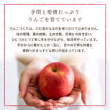 りんご 【箭内厳雄果樹園】 リンゴ 家庭用 5kg 福島県須賀川市《11/下旬～12/上旬より出荷》